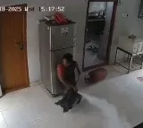 Gas Leak Woman Saves Home From Disaster Viral Video