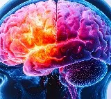 Study finds genetic link for rare childhood brain developmental disorder