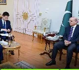 Shehbaz Sharif Says China Helped Stabilize Pakistan Economy