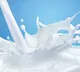 Kukatpally Police Station Receives Complaint About Spoiled Milk