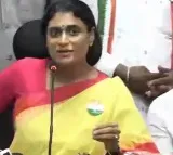 YS Sharmila demands ban on Jagan rallies after Singaiah death