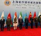 Terror and peace cannot co-exist: Rajnath Singh at SCO meet in China