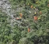 One dead, 10 missing as bus plunges into river in Uttarakhand