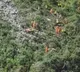 One dead, 10 missing as bus plunges into river in Uttarakhand