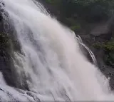 Courtallam Falls Dazzles Tourists Amid Restrictions After Heavy Rains