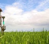 China Stops Specialty Fertilizers Export to India