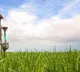 China Stops Specialty Fertilizers Export to India