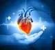 Heart Health Warning Signs You Should Never Ignore
