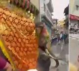 Jagannath Rath Yatra Elephant Scare in Ahmedabad