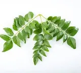Content Creator Ved Campbell Goes to Mumbai for Curry Leaves