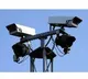Chennai corporation to install CCTV cameras at animal centres to curb mistreatment
