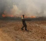 Israeli soldier killed in Gaza