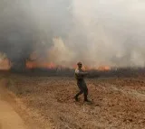Israeli soldier killed in Gaza