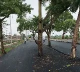 Bihar Road Project 100 Crore Road Construction with Trees in the Middle