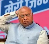 Mallikarjun Kharge on Karnataka Chief Minister Change