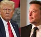 Elon Musk Warns Trump Over Tax Immigration Bill