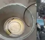 Petrol Bunks in Nellore Accused of Cheating Customers