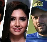 Pakistani Celebrities Accounts Banned Again in India