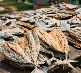 Dried Fish Higher in Protein Than Chicken