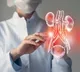 Kidney Damage Silent Warning Signs You Should Know