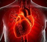US researchers develop AI model improving sudden cardiac death prediction