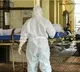 Nipah Virus Outbreak Kills Teenager in Kerala