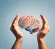 Brain Health Six Essential Nutrients for Sharp Brain Function