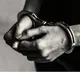 Telangana CID arrests Falcon COO in Rs 4,215 crore scam