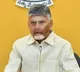 Chandrababu Naidu Greets Telugu People on Toli Ekadashi