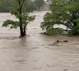 Death toll in Texas flood rises to over 65