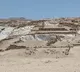 Ancient Peniko City Found in Peru Sheds Light on Americas History