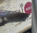 Indigo Flight Delayed by Bees at Surat Airport