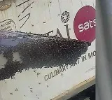 Indigo Flight Delayed by Bees at Surat Airport