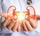 Kidneys Healthy Signs Morning Indicators