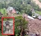Dog saves 67 lives in Himachal Pradesh floods