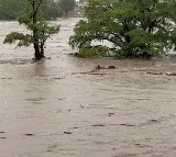 Death toll in US Texas flash floods climbs to 109; over 160 missing