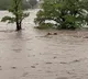 Death toll in US Texas flash floods climbs to 109; over 160 missing