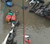 Three killed as bridge collapses in Gujarat's Vadodara, vehicles fall into river