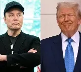 Elon Musks Latest Attack On Donald Trump Over Epstein Files