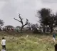 Rajasthan Plane Crash Pilot Dies in Churu District