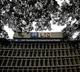 Government Plans Further LIC Stake Sale