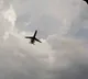 Srihari Sukesh Dies in Canada Plane Crash