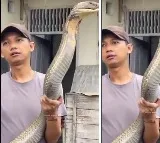 Man Catches Giant King Cobra With Bare Hands Viral