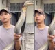 Man Catches Giant King Cobra With Bare Hands Viral