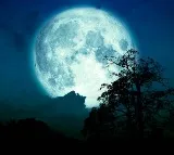 Guru Purnima and Buck Moon Celebrations in India and America