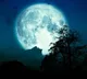 Guru Purnima and Buck Moon Celebrations in India and America