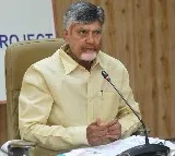 Chandrababu Naidu Urges Use of Technology to Curb Tax Evasion