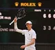 Wimbledon 2025: Sinner storms past injured Djokovic, to meet Alcaraz in final (Ld)