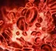 Blood Cancer Early Symptoms You Should Know