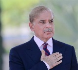 Shehbaz Sharif on Pakistan Nuclear Program for Peaceful Purposes